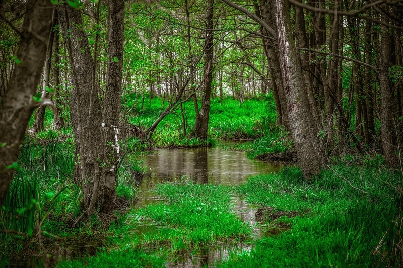 Végétation : le camouflage naturel le plus efficace