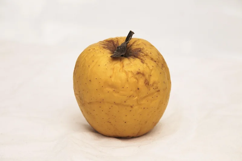 Erreurs courantes qui ruinent votre bouillotte