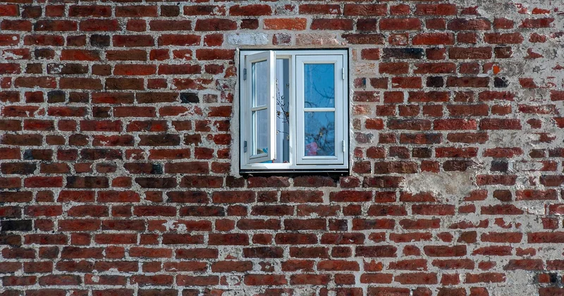 Mérule : les premiers signes qui doivent vraiment alerter