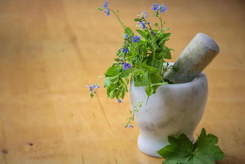 Comment se débarrasser des blattes à l'intérieur de la maison ?